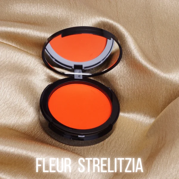 BLUSH NEW BLACK FLEUR STRELITZIA